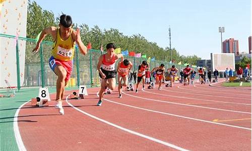 田径运动训练的基本内容,田径运动训练释义