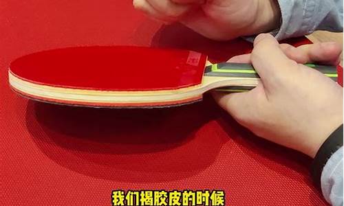 乒乓球拍胶皮十大排名,乒乓球拍胶皮所有品牌