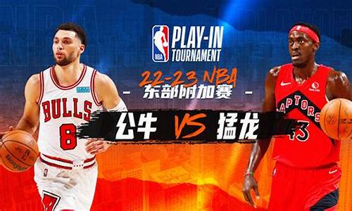 nba附加赛是什么时候_nba附加赛从哪一年开始